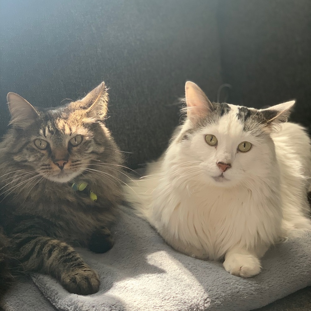 Meet your Posher, Aimee